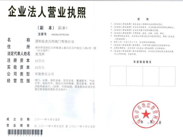 深圳东光凡而阀门有限公司