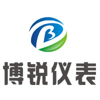 金湖博锐仪表有限公司
