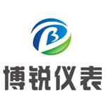 金湖博锐仪表有限公司