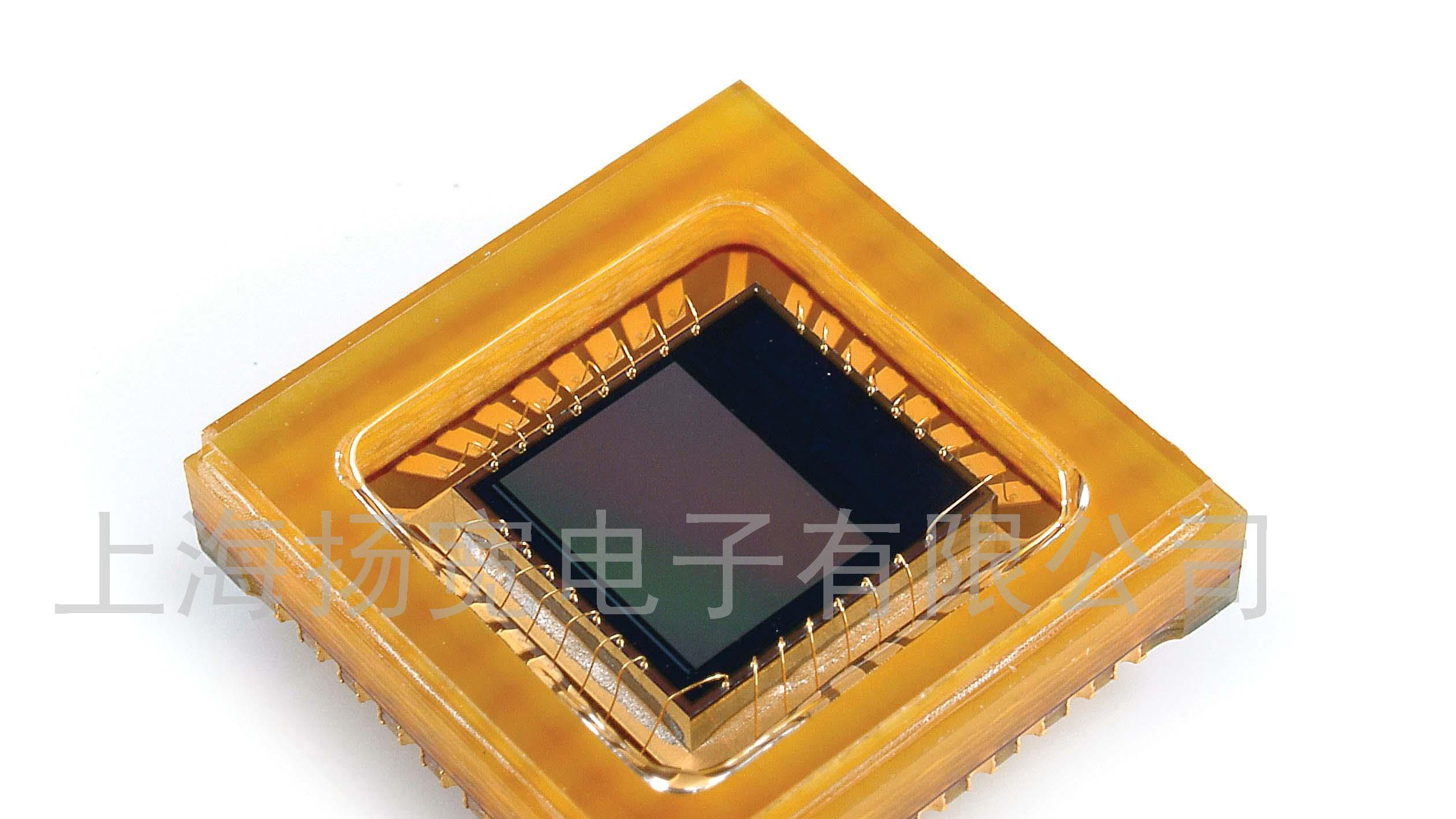 供应PAC407BC传感器 (图)