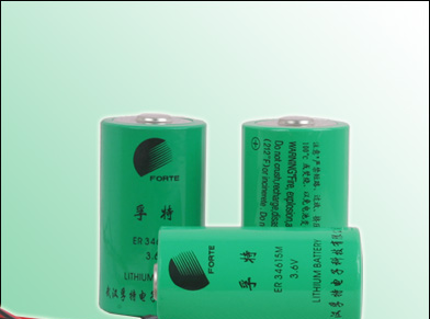3.6V 锂亚硫酰氯电池 各种型号均有销售