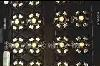 1W,3W,5W大功率LED