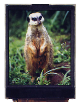 供应液晶显示屏TFT-LCD  2.0英寸