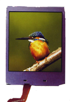 液晶显示屏TFT-LCD1.5