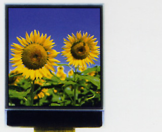 液晶显示屏CSTN-LCD 1.51