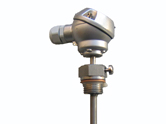 TS60浸入式温度传感器