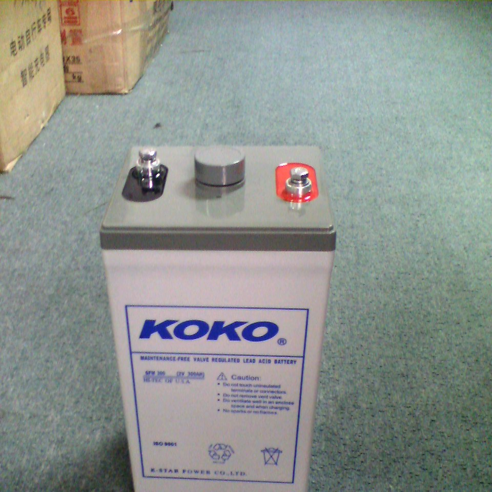 供应中美合资KOKO(可可)蓄电池
