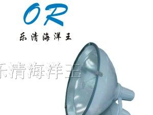 供应ZT6900 防水防尘防震投光灯 海洋王