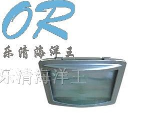 供应NSE9720 防眩应急通路灯 浙江海洋王 NYE9100A