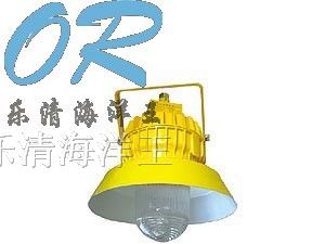 供应BPC8710 防爆平台灯 浙江海洋王