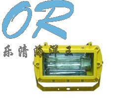 供应 BFC8100 防爆强光泛光灯