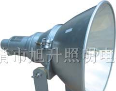 供应CNTC9210防震投光灯,NTC9210,NTC9200，NTC9220