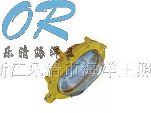 BFE8120 内场防爆应急灯 乐清海洋王 SFW6130