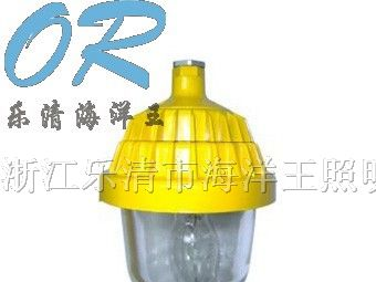 BPC8720 防爆平台灯 BPC8710