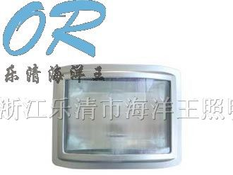 NSC9720 防眩通路灯 IW5280