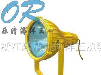 海洋王 BTC8210 防爆投光灯