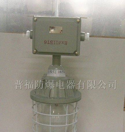 供应防爆无极灯 LED防爆灯