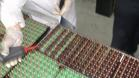 供应Epoxy透明灌封胶、耐高温环氧树脂灌封胶