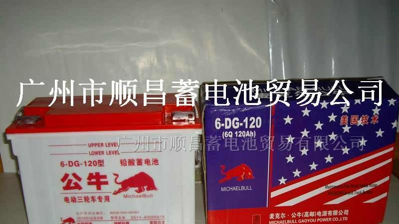 供应电动车蓄电池