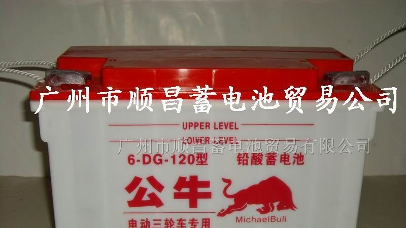供应电动三轮车电池
