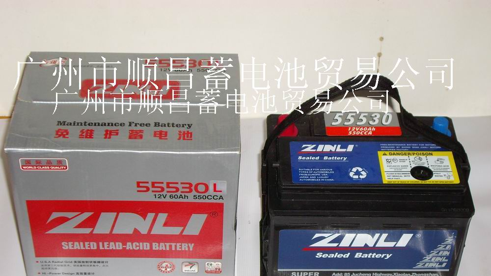 供应爱丽舍、富康、奇瑞、帕萨特、等汽车蓄电池