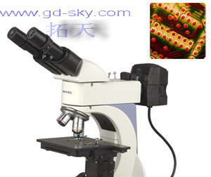 Y-120J金相显微镜