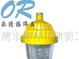 供应BPC8720 海洋王 防爆平台灯