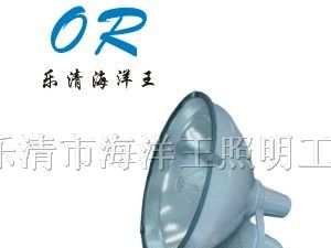 供应ZT6900  防水防尘防震投光灯 海洋王