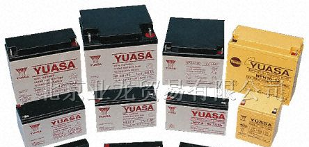 原装进口YUASA公司电池