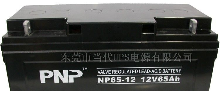 供应山特UPS专用PNP蓄电池