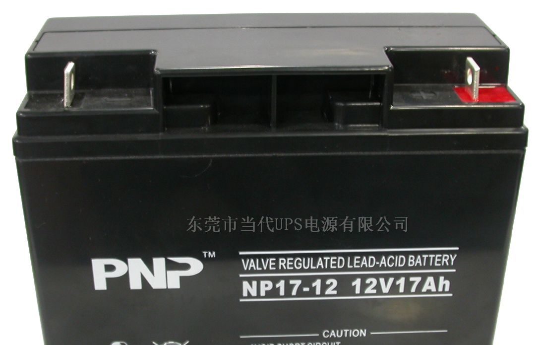 供应东莞PNP电池