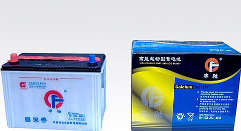 供应丰驰蓄电池
