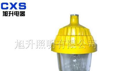 供应CBPC8720防爆平台灯