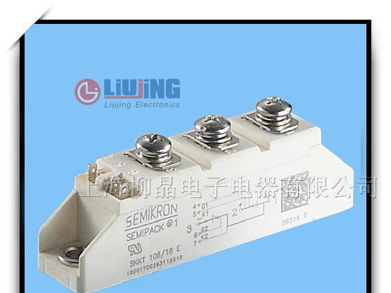 供应可控硅模块西门康SKKT106/16E