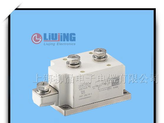 供应可控硅模块SKKT330/16E