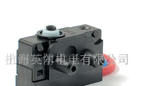 BURGESS思博微动开关V4NCS