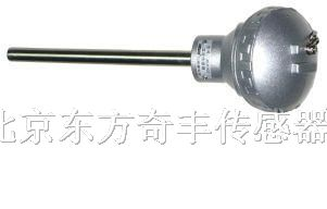 供应无固定式温度传感器