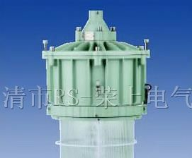 供应BAD5020/5021，隔爆型防爆灯
