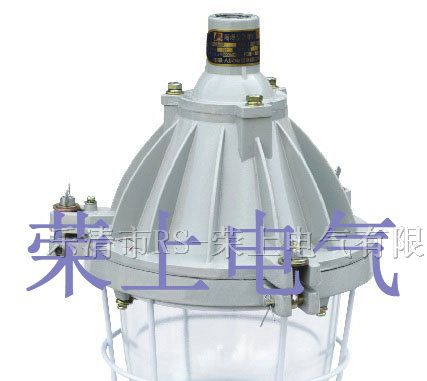 供应BAD51，防爆灯，防爆应急灯
