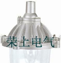 供应NFC9112 防眩泛光灯，灯具