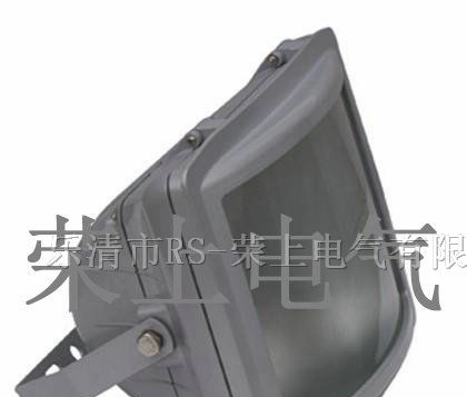 供应NSE9720 防眩应急通路灯