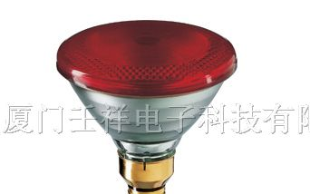 供应6V 20W PHILIPS显微镜用卤素灯泡