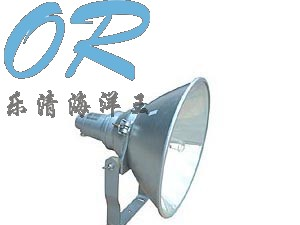供应NTC9210防震型投光灯 乐清海洋王