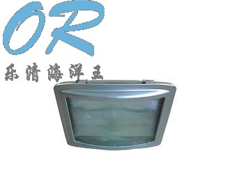 供应NSE9720防眩应急通路灯 乐清海洋王
