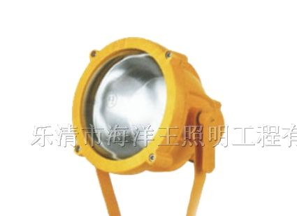 供应海洋王BTC8200/BTC8200A防爆投光灯