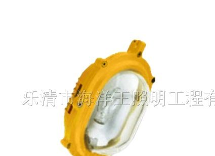 供应海洋王BFE8120内场防爆应急灯BFE8120 BFE8120