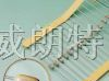 供应PFP、PSP、PEP、PMP电阻式保险丝、保险管