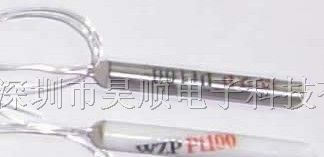 供应温度传感器WZPPt100