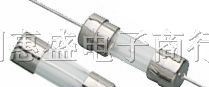 供应玻璃管保险丝2A/250V