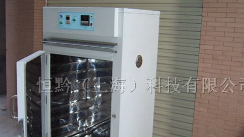 精密高温箱 LED高温箱 光电专用烤箱 恒温干燥箱